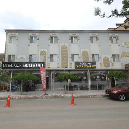Отель Gulistan *