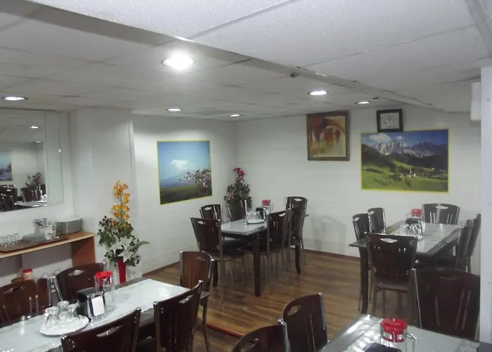 Отель Gulistan Zara