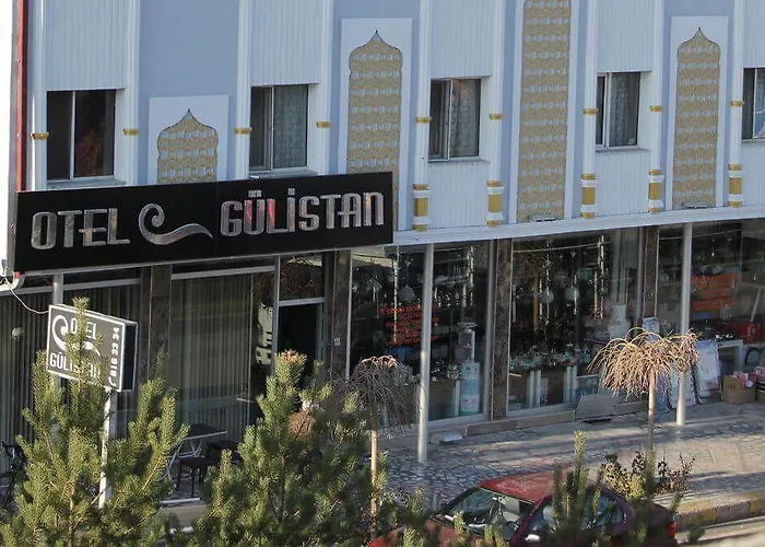 Отель Gulistan Zara